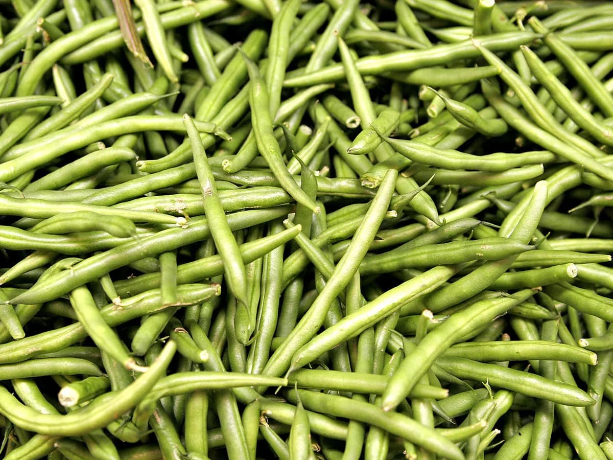 Beans (Bush)