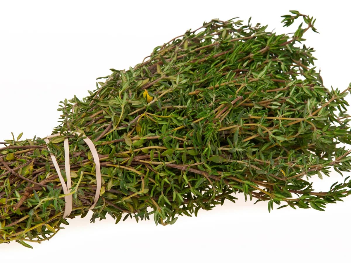 Thyme