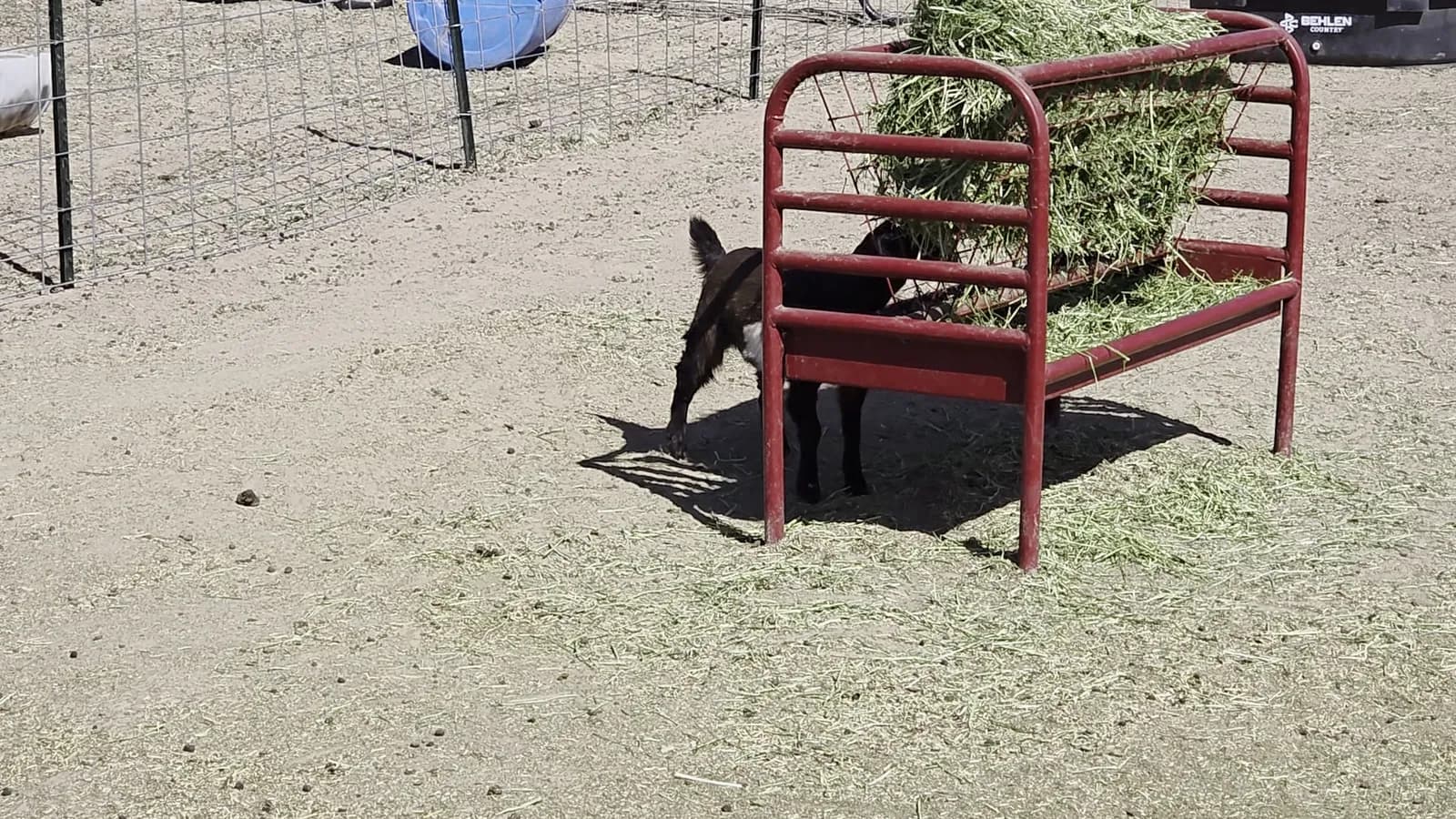 Composting in a high desert