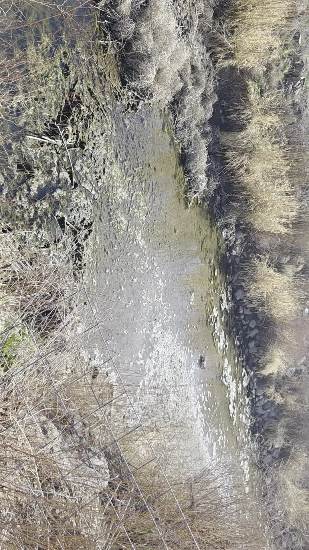 Utah lawn care that doesn't waste water