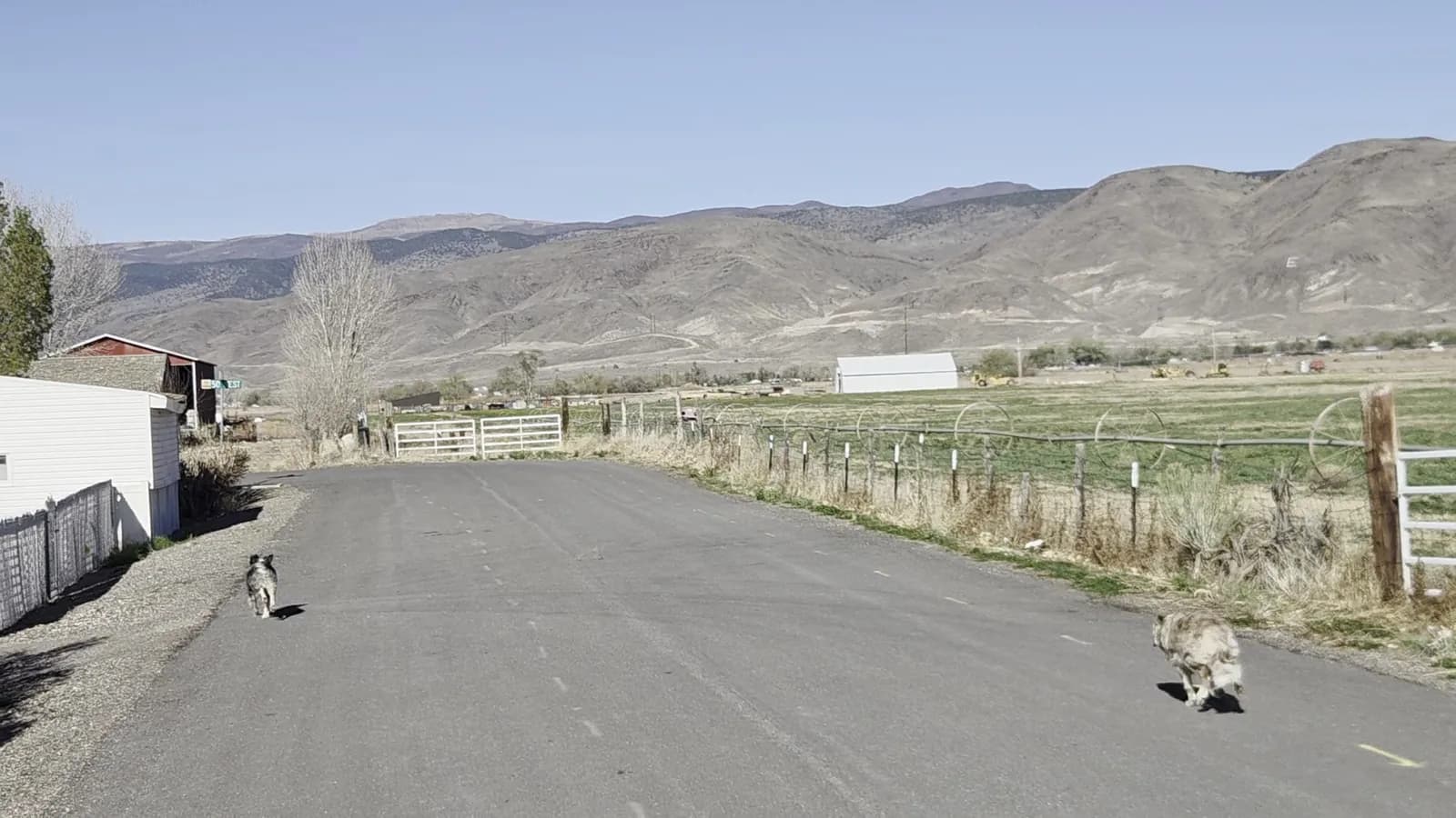 Utah's alkaline soil — and what to do about it