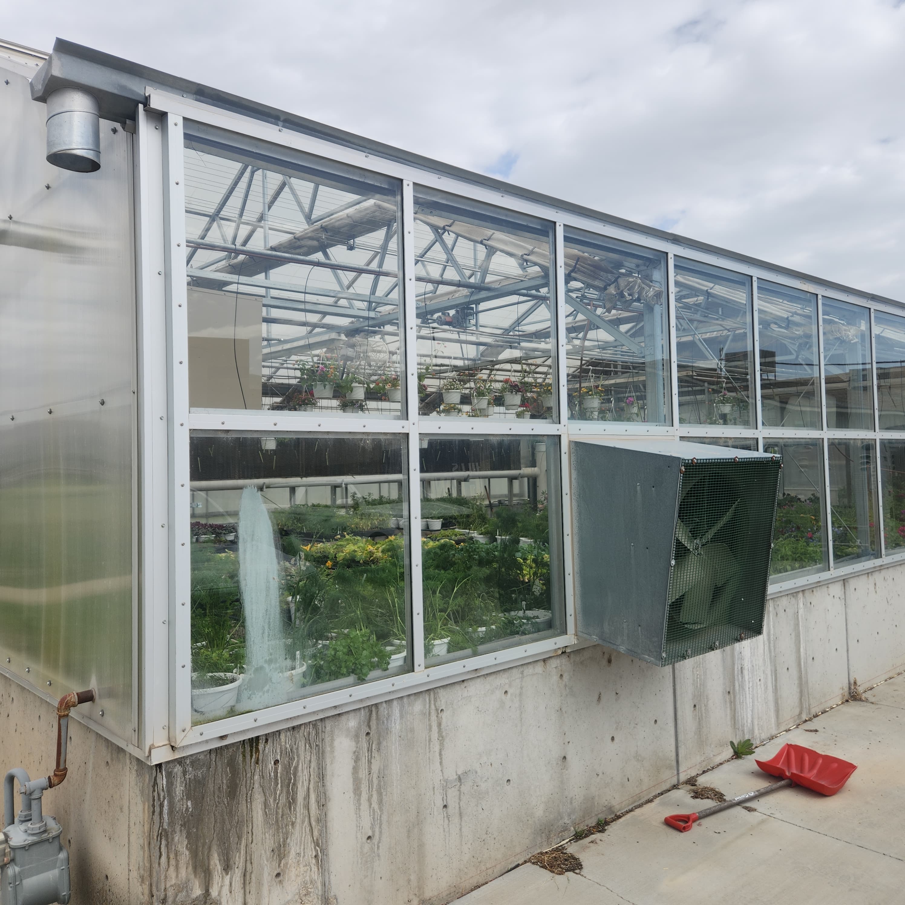 Inside the SUS Farms greenhouse, full of plants