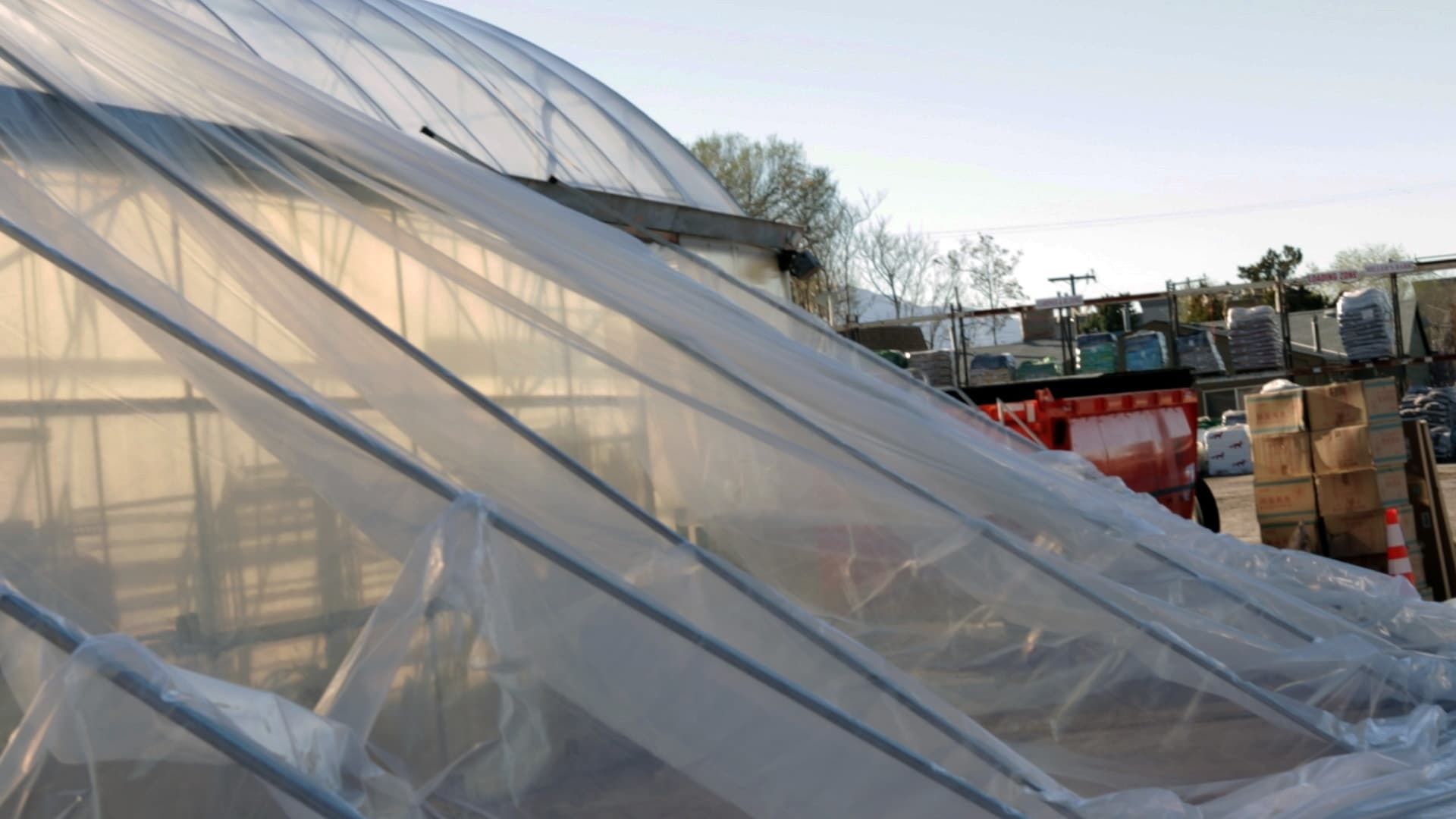 How to Overwinter a Greenhouse (Keep Growing in Winter)