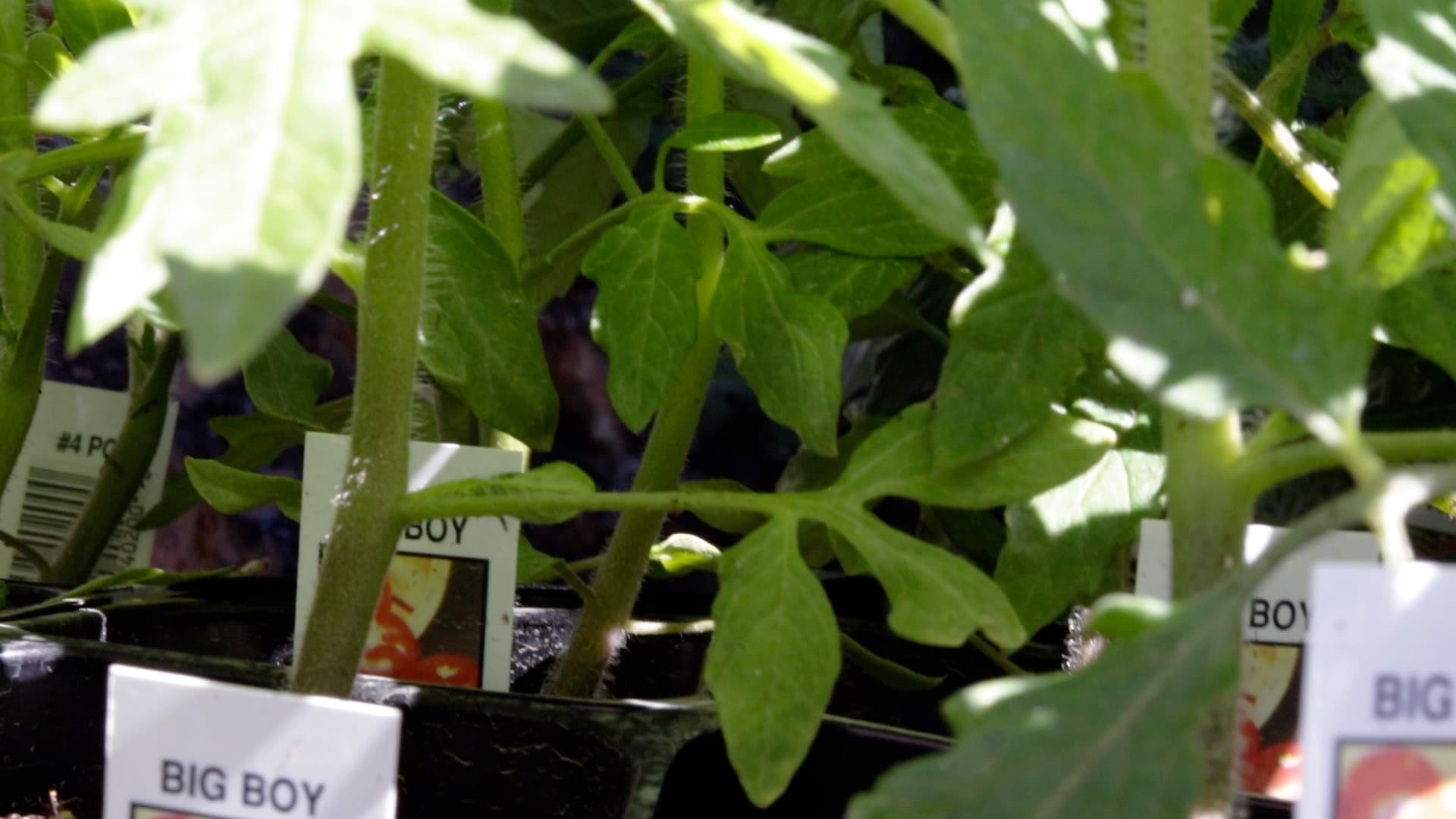 How to Test Utah Soil at Home