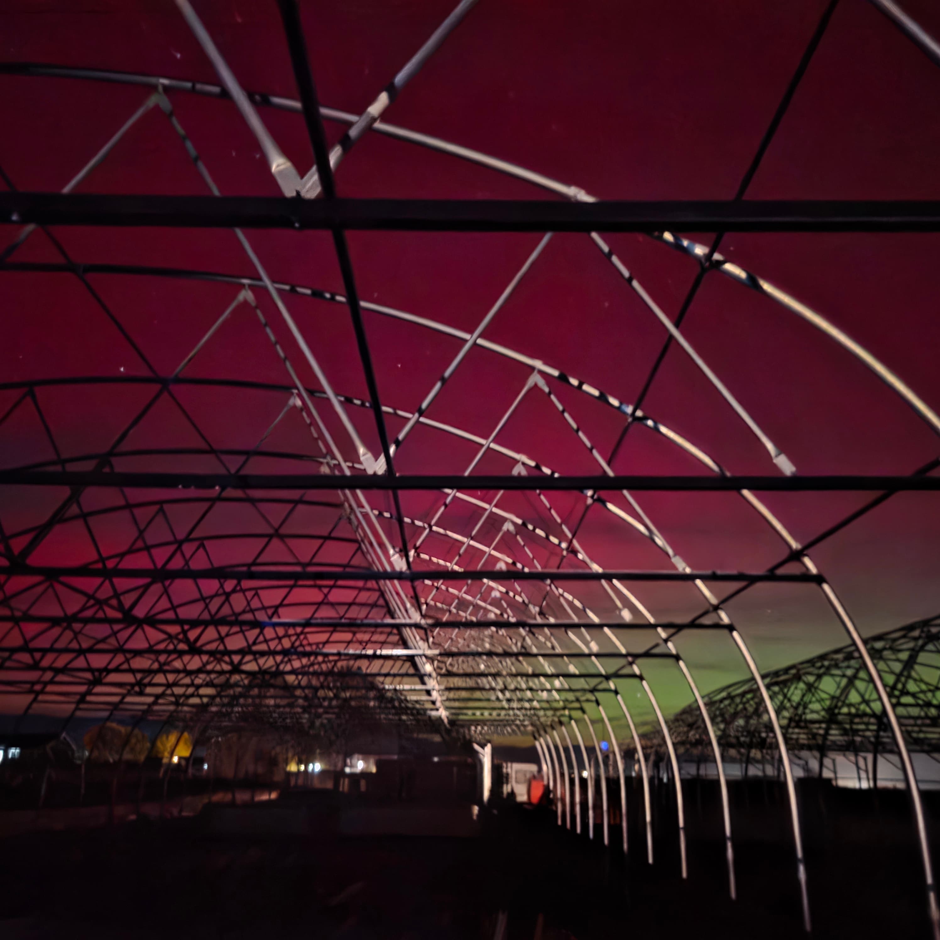 Aurora over the greenhouses at night