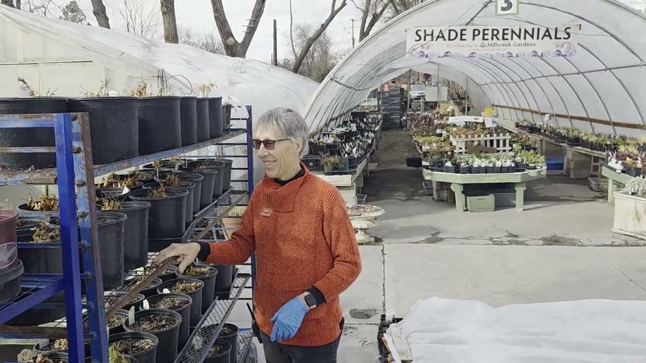 LaRene in the nursery
