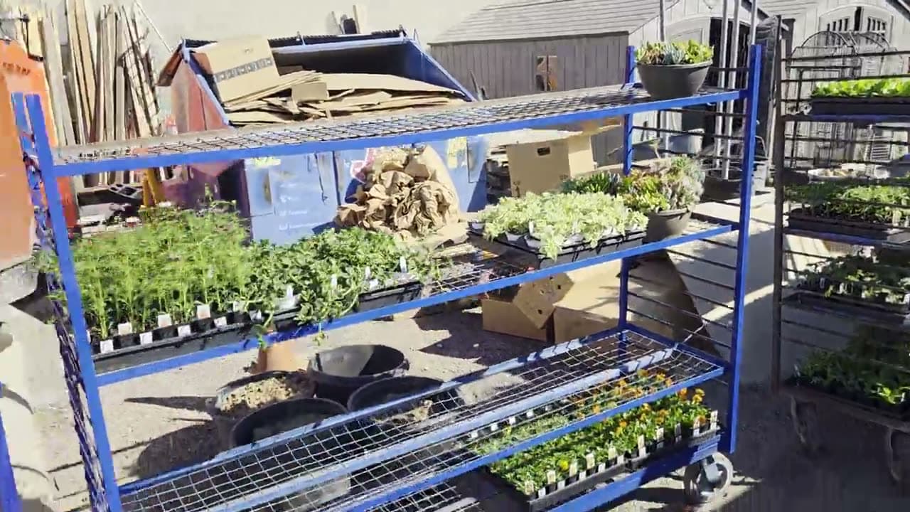 A truckload of new plants arriving